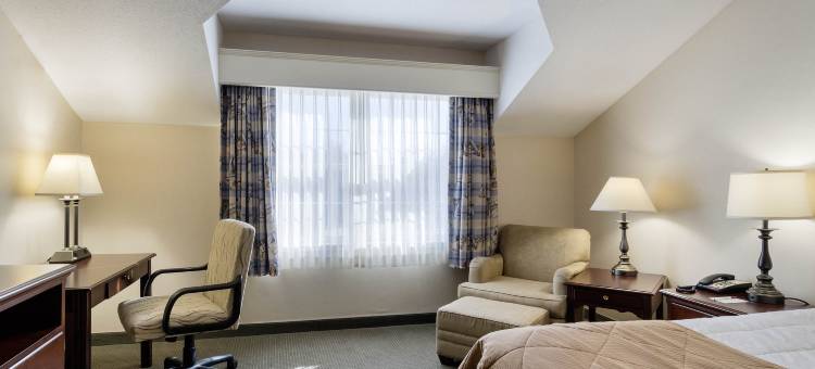 马萨斯葡萄园埃德加酒店-阿桑德连锁酒店成员(Edgar Hotel Martha's Vineyard, Ascend Hotel Collection)图片