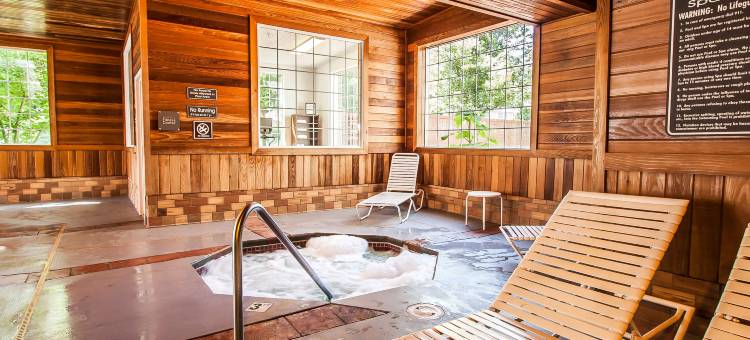 舒适套房酒店(Comfort Suites)图片