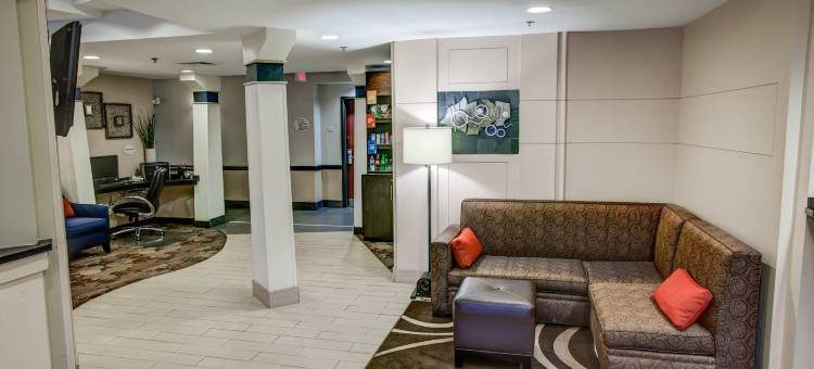 匹兹堡机场舒适酒店(Comfort Suites Pittsburgh Airport)图片