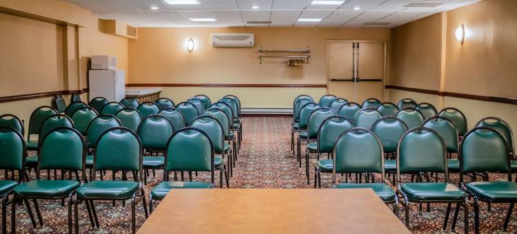 市中心凯艺套房酒店(Quality Inn & Suites Downtown)图片