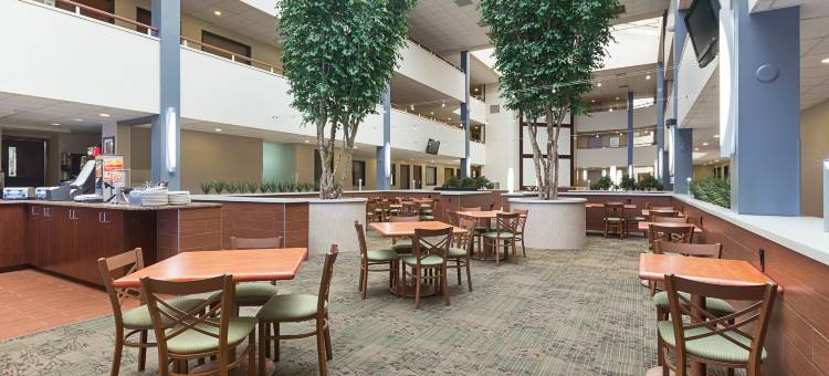 兰辛魁利提套房酒店(Quality Suites)图片