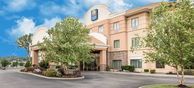 鲍威尔舒适酒店-诺克斯维尔北(Comfort Inn Powell - Knoxville North)图片