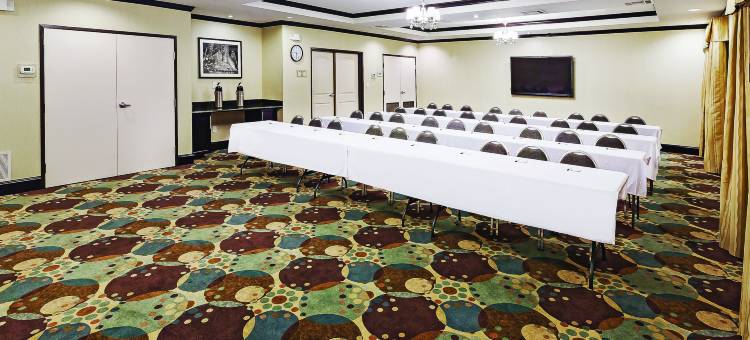 麦金尼拉昆塔温德姆套房酒店(La Quinta Inn & Suites by Wyndham McKinney)图片