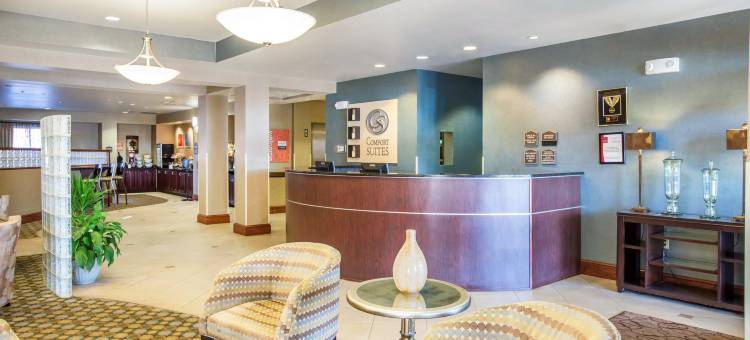 亚特兰大南部麦克多诺舒适套房酒店(Comfort Suites McDonough Atlanta South)图片
