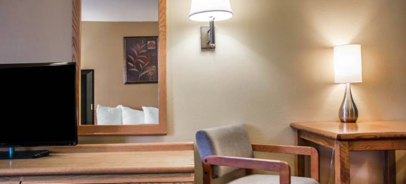 机场品质酒店(Quality Inn Airport)图片