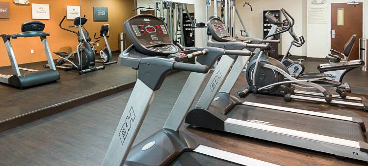 纳基托什舒适套房酒店(Comfort Suites Natchitoches)图片