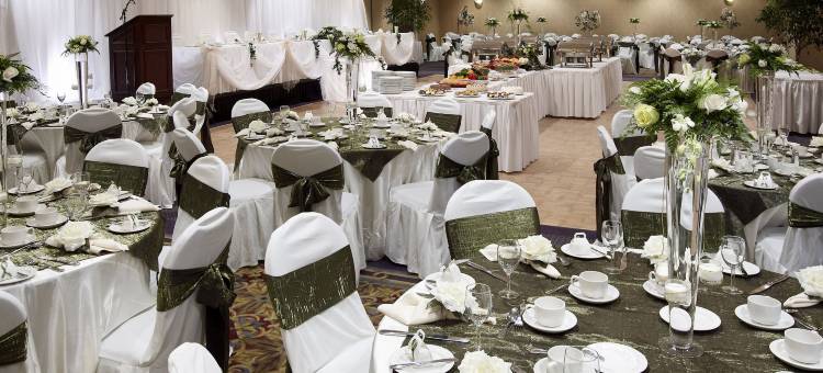 多伦多机场西希尔顿逸林酒店(DoubleTree by Hilton Hotel Toronto Airport West)图片