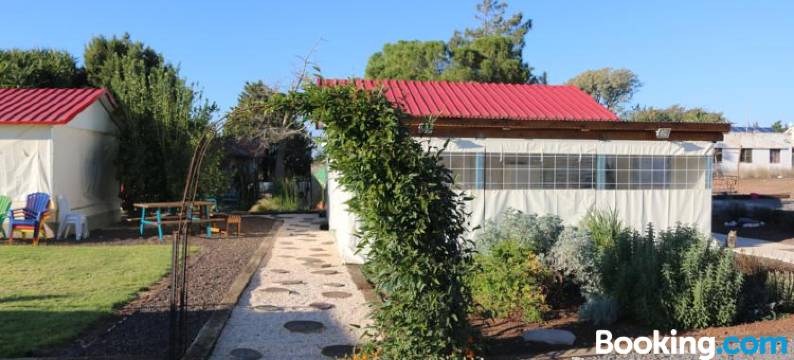 西奈巴沟兰露营地(Sinai Bagolan)图片