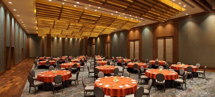 艾哈迈达巴德凯悦酒店(Hyatt Regency Ahmedabad)图片