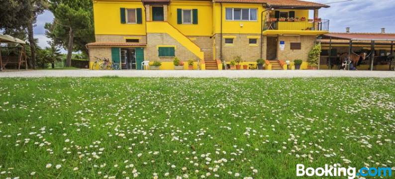 B&B Centro Ippico Andrea图片