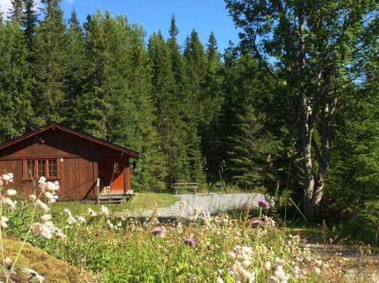 Hytte I Sjoasen Hotel Reviews And Room Rates