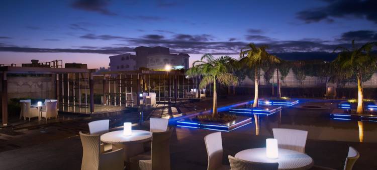 大诺伊达皇冠假日酒店(Crowne Plaza Greater Noida)图片