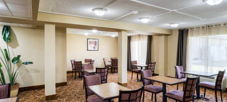 凯艺套房酒店(Quality Inn & Suites)图片