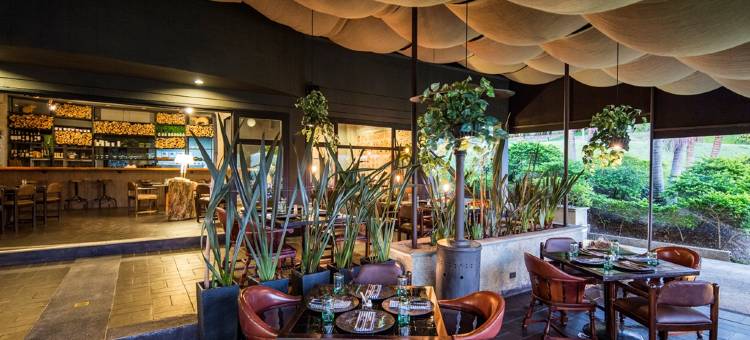 拉斯洛马斯莫维奇酒店(Movich Hotel Las Lomas)图片