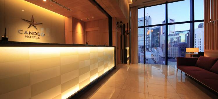 东京新桥光芒酒店(CANDEO HOTELS)(Candeo Hotels Tokyo Shimbashi)图片