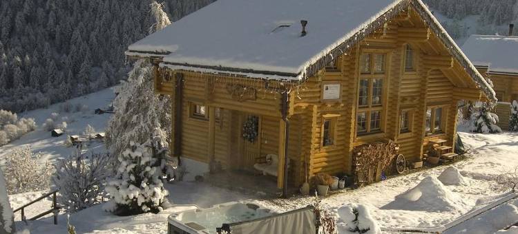 小天鹅度假屋(Chalet Cygnet)图片