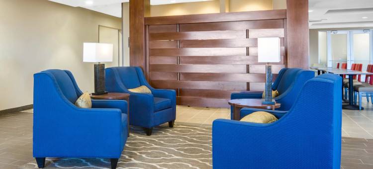 舒适套房酒店(Comfort Inn & Suites)图片