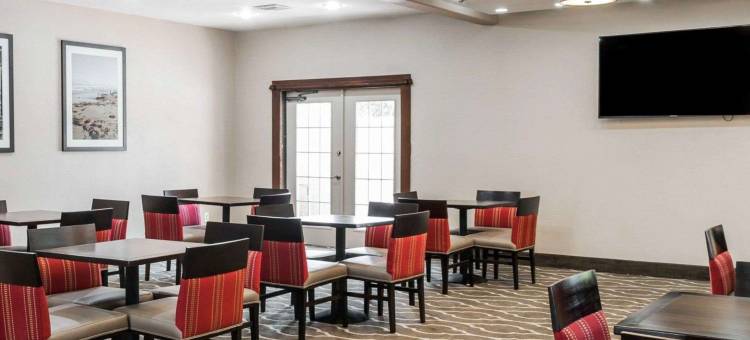 舒适酒店及套房(Comfort Inn & Suites Pharr/McAllen)图片