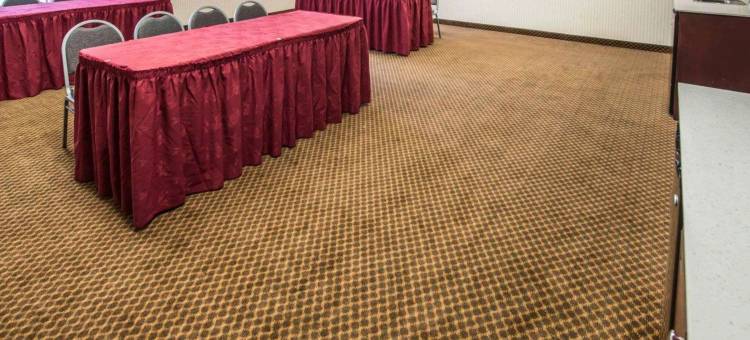 摩根顿舒适套房酒店(Comfort Inn & Suites)图片