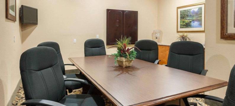 查尔斯湖舒适套房酒店(Comfort Suites Lake Charles)图片