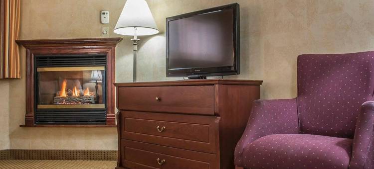 凯艺套房酒店(Quality Inn and Suites)图片