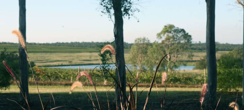 猎人谷度假村(Hunter Valley Resort, Hunter Farm Adventure Centre & 4 Pines at The Farm)图片