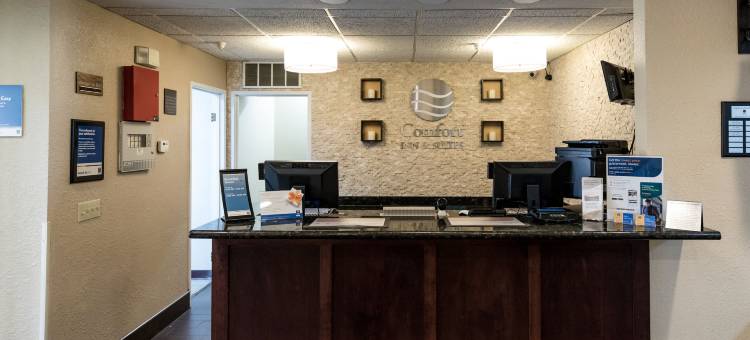 波波的舒适酒店套房(Comfort Inn & Suites)图片