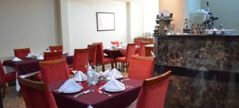 日巴斯酒店(Ribas Hotel)图片