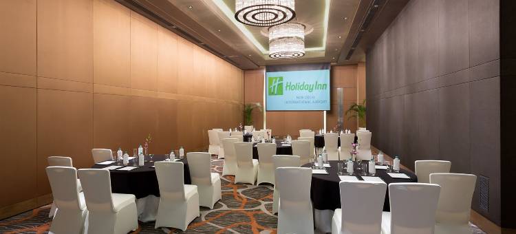 新德里国际机场假日旅馆(Holiday Inn New Delhi International Airport)图片