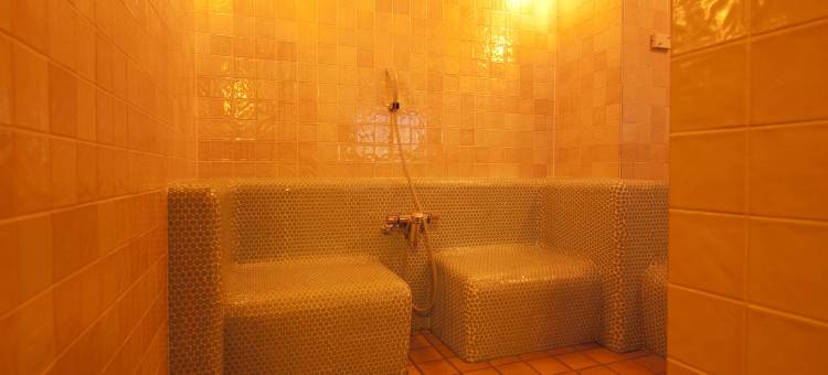 天然温泉夕雾之汤 多美迎 PREMIUM 难波(Natural Hot Spring Yugiri no Yu Dormy Inn PREMIUM Namba)图片