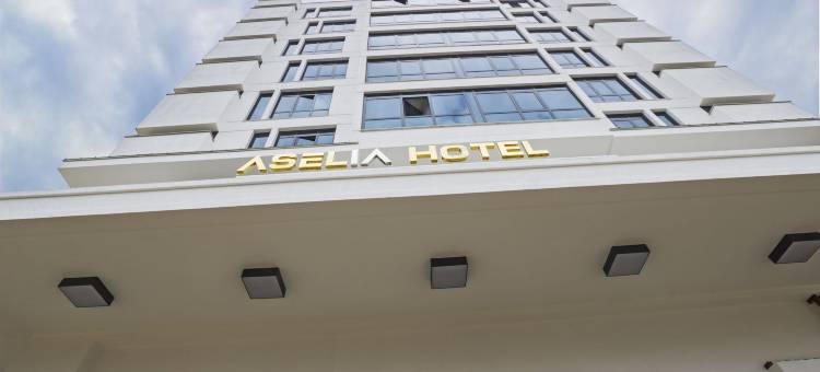 特拉比松艾赛莉亚酒店(Aselia Hotel Trabzon)图片