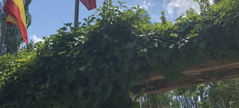 狼河坎农露营酒店(Glamping Cañon del Rio Lobos)图片