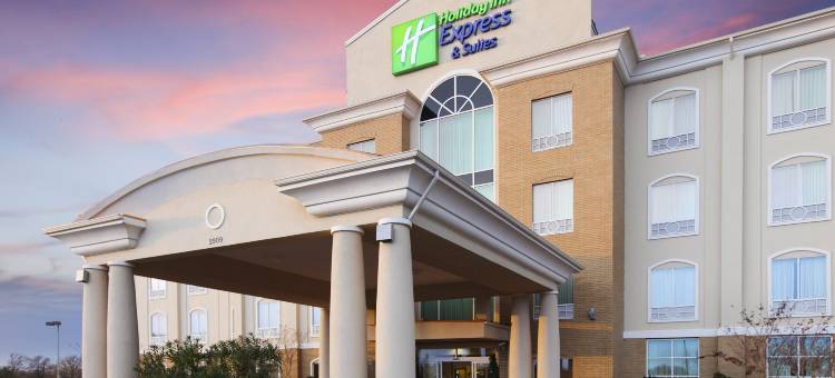 智选假日套房酒店谢尔曼HWY 75(Holiday Inn Express & Suites Sherman Hwy 75)图片