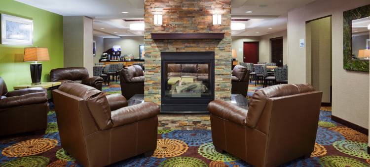 智选假日套房酒店罗切斯特(Holiday Inn Express & Suites Rochester – Mayo Clinic Area)图片