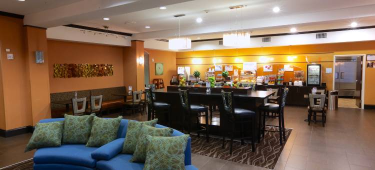 智选假日套房酒店达拉斯西(Holiday Inn Express & Suites Dallas W - I-30 Cockrell Hill)图片
