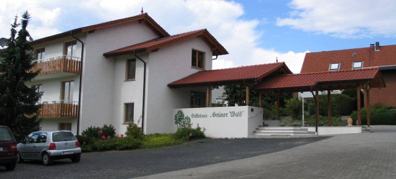 格雷纳瓦尔德酒店(Grüner Wald Hotel Gasthof)图片