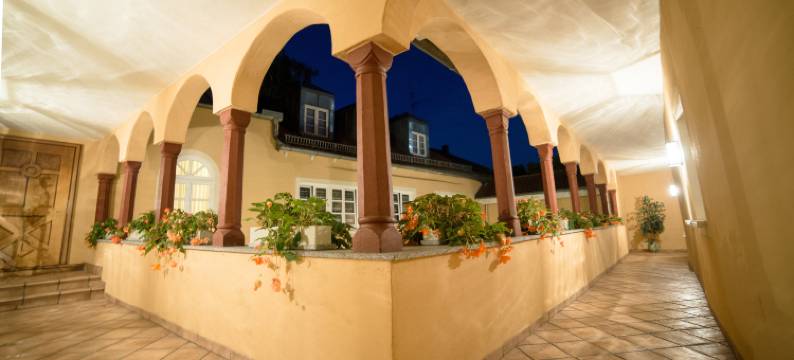 普法尔基尔兴寄宿式酒店(Boardinghouse Hotel Münchner Hof Pfarrkirchen)图片