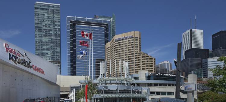 InterContinental Hotels 多伦多中心洲际酒店(InterContinental Hotels Toronto Centre)图片
