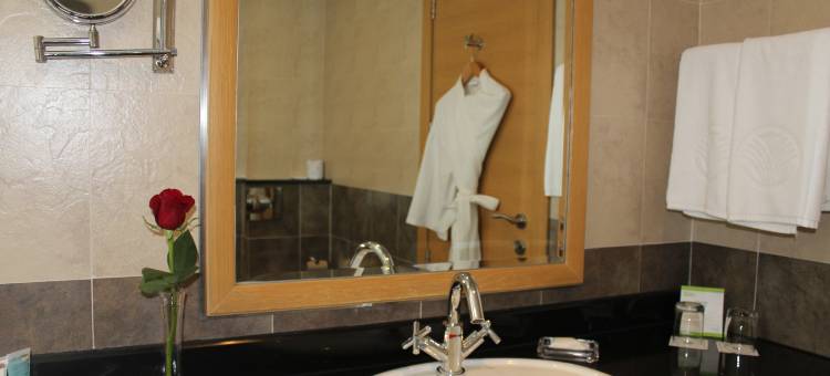 努尔罗塔纳阿瑞健酒店(Nour Arjaan by Rotana)图片