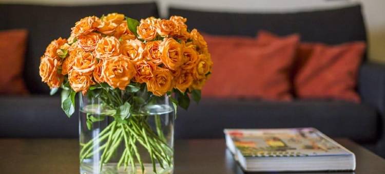 雄伟住宅酒店(Majestic Residence)图片