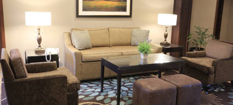 Staybridge Suites 硅谷的米尔皮塔斯(Staybridge Suites Silicon Valley-Milpitas)图片