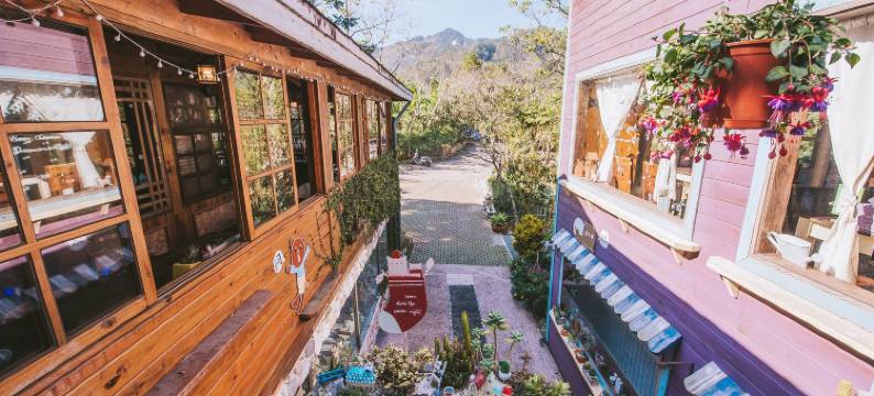 苗栗南庄橄榄树咖啡民宿图片