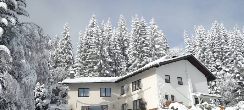 霍林格公寓(Ferienhaus Hollinger)图片