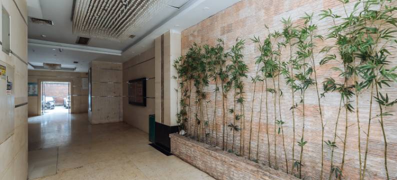 安岳柠都大酒店图片