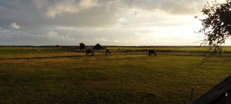 The Sunset Apartments图片