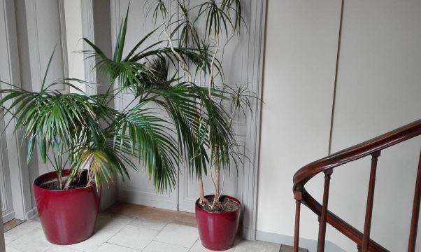 Mansion Victorine Hotel Overview