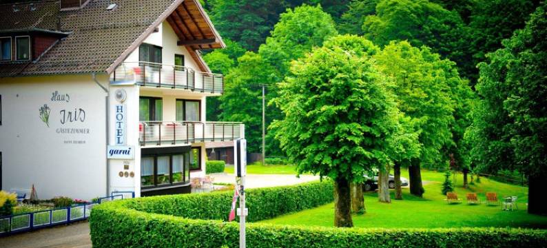 哈茨酒店艾瑞斯(Harz Hotel Iris)图片