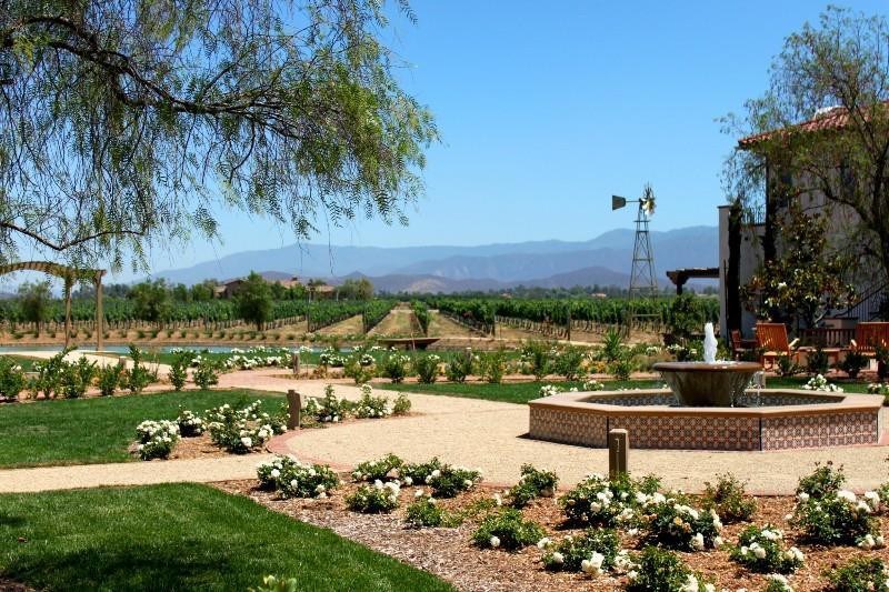 Ponte Vineyard Inn Over view