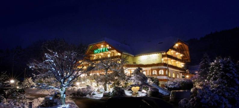 黑森林酒店(Silberkönig Schwarzwald Hotel & Restaurant Ringhotel)图片