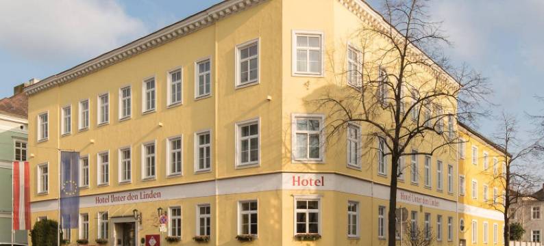 菩提树大道酒店(Hotel Unter den Linden)图片